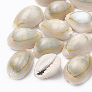 Cowrie Shell Beads, Seashell Color, 19~23x13~17x10~12mm, about 340pcs/500g(SSHEL-T004-04)