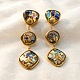 304 Stainless Steel Resin Stud Dangle Earrings(SA-E001-01G)-1