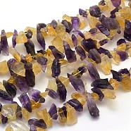 Rough Raw Natural Citrine and Amethyst Beads Strands, Nuggets, 12~24x3~12x6~9mm, Hole: 1mm, 15.3 inch(38.9cm)(G-K202-24)