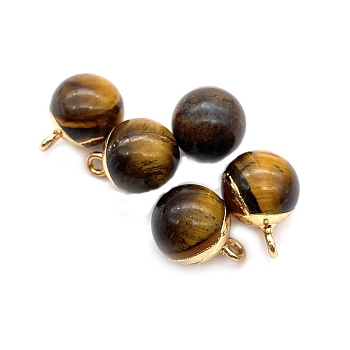 Natural Tiger Eye Round Charms with Golden Plated Metal Findings, 15x10mm