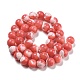 Dyed Natural Trochus Shell Beads Strands(BSHE-G034-25C)-3