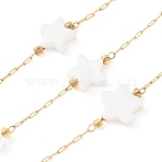 304 Stainless Steel & Natural Shell Star & Round Bead Cable Chains, Ion Plating(IP), Soldered, with Spool, Golden, 11x9x3mm(CHS-G048-10G)