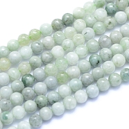 Natural Myanmar Jade/Burmese Jade Beads Strands, Round, 4mm, Hole: 0.7mm, about 93pcs/strand, 15.75 inch(40cm)(G-I279-C02-4mm)