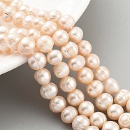 Natural Cultured Freshwater Pearl Beads Strands, Potato, Light Salmon, 7~8mm, Hole: 0.6mm, about 26pcs/strand, 6.69 inch(17cm)(PEAR-C003-01B)