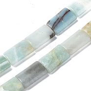 Natural Amazonite Beads Strands, Rectangle, 15~17x10x4~5mm, Hole: 0.6mm, about 25pcs/strand, 15.75 inch(40cm)(G-N0326-72)