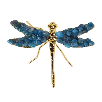 Natural Apatite Dragonfly Display Decorations, Animal Crafts for Table Decor Home Decor, 100x80mm