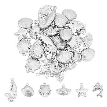 36Pcs 6 Style 304 Stainless Steel Charms, Mixed Shapes, Stainless Steel Color, 6pcs/style