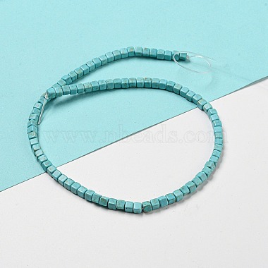 Dyed Synthetic Turquoise Beads Strands(G-G075-B02-03)-3