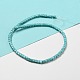 Dyed Synthetic Turquoise Beads Strands(G-G075-B02-03)-3