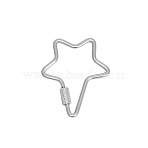 304 Stainless Steel Screw Carabiner Lock Charms, for Necklaces Making, Star, 35.5x31.5x4mm(WH-WG65606-07)