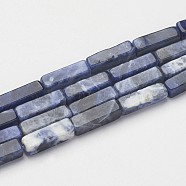 Natural Sodalite Beads Strands, Cuboid, 13~13.5x3~5x3~5mm, Hole: 0.5mm, about 29~31pcs/strand, 15.3~15.7 inch(390~400mm)(X-G-G968-D02)