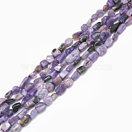 Natural Charoite Beads Strands, Tumbled Stone, Nuggets, 4~15x4~8x3~7mm, Hole: 1mm, about 40~70pcs/strand, 15.7 inch(G-S301-13)