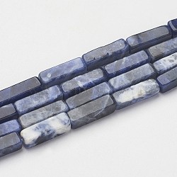 Natural Sodalite Beads Strands, Cuboid, 13~13.5x3~5x3~5mm, Hole: 0.5mm, about 29~31pcs/strand, 15.3~15.7 inch(390~400mm)(X-G-G968-D02)