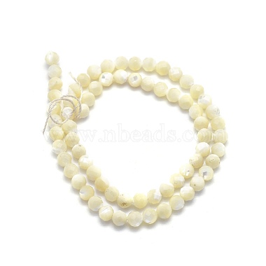 Natural White Shell Beads(G-O171-09-6mm)-2