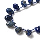 Natural Lapis Lazuli Beads Strands(G-H297-B02-01)-3