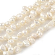 Natural Cultured Freshwater Pearl Beads Strands, Top Drilled, Two Sides Polished, Grade 3A, Old Lace, 5~5.5mm, Hole: 0.5mm, about 35pcs/strand, 6.89 inch(17.5cm)(PEAR-A006-17A)