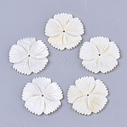 Freshwater Shell Beads, Flower, Creamy White, 34.5x34.5x2.5mm, Hole: 1.5mm(SHEL-T016-04)