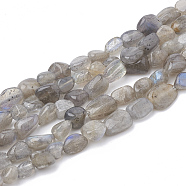 Natural Labradorite Beads Strands, Tumbled Stone, Nuggets, 2~19x3~8x2~7mm, Hole: 1mm, about 50~55pcs/strand, 15.55 inch(G-S339-02)