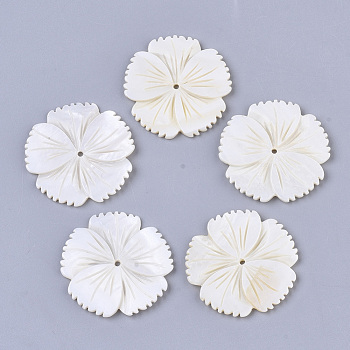 Freshwater Shell Beads, Flower, Creamy White, 34.5x34.5x2.5mm, Hole: 1.5mm
