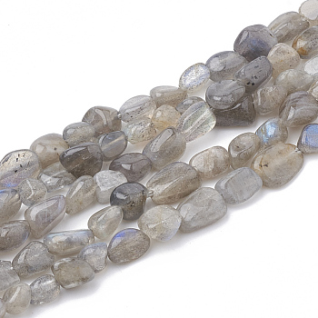 Natural Labradorite Beads Strands, Tumbled Stone, Nuggets, 2~19x3~8x2~7mm, Hole: 1mm, about 50~55pcs/strand, 15.55 inch