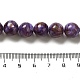 coquille eau douce perles brins(BSHE-L039-08A-01)-4
