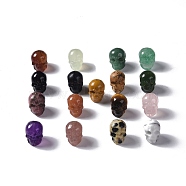 Natural Mixed Gemstone Beads, Skull, Mixed Dyed and Undyed, 13x10x11.5mm, Hole: 1mm(G-I352-M)