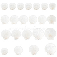 Elite 20Pcs 4 Style Natural Scallop Shells, for DIY Craft Beach Wedding Home Decoration Decoration or Serving Food, White, 61~107x51~109x2~3mm(SSHEL-PH0001-23)