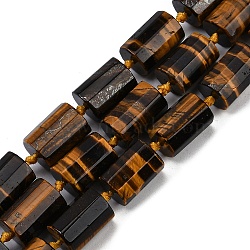 Natural Tiger Eye Beads Strands, Faceted, Column, 16x12mm, Hole: 1.5mm, about 21pcs/strand, 16.34''(41.5cm)(G-G162-D20-02)