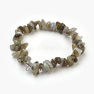 Natural Labradorite Beads Stretch Bracelets, with Alloy Findings, Chip, 1-3/4 inch(4.5cm)(BJEW-JB03860-08)
