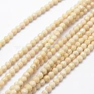 Natural Fossil Beads Strands, Faceted, Round, 4mm, Hole: 1mm, about 116pcs/strand, 15.5 inch(G-K209-05D-4mm)
