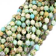 Natural Turquoise Beads Strands, with Seed Beads, Faceted, Bicone, Double Terminated Point Prism Beads, 5~7x6mm, Hole: 0.8mm, about 48pcs/strand, 15.55 inch(39.5cm)(G-O201B-38)