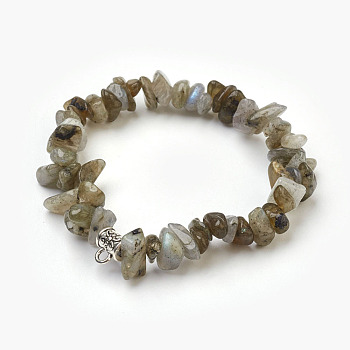Natural Labradorite Beads Stretch Bracelets, with Alloy Findings, Chip, 1-3/4 inch(4.5cm)