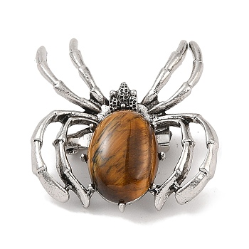 Natural Tiger Eye Brooches, with Alloy Findings, Spider, Antique Silver, 37x34x8mm