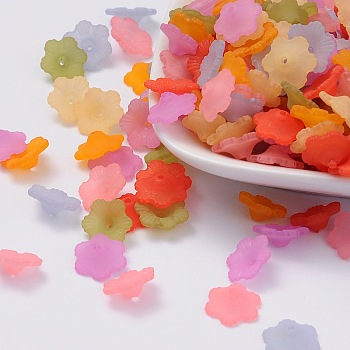 Mixed Color Transparent Frosted Acrylic Flower Bead Caps, about 12mm in diameter, 4.5mm thick, hole:1mm