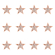 12Pcs Star Brooch Pin(JEWB-FH0001-43)-1