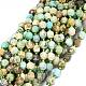 Natural Turquoise Beads Strands(G-O201B-38)-1