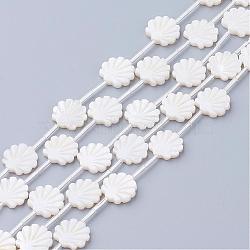 Natural White Shell Beads, Mother of Pearl Shell Beads, Shell Shaped, Seashell Color, 12x12x3mm, Hole: 0.8~1mm(SSHEL-Q298-06)