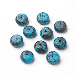 Natural Howlite Beads, Dyed & Heated, Flat Round/Disc, 10~10.5x5.4~6mm, Hole: 1mm(G-O184-29)