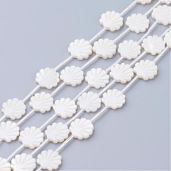 Natural White Shell Beads, Mother of Pearl Shell Beads, Shell Shaped, Seashell Color, 12x12x3mm, Hole: 0.8~1mm