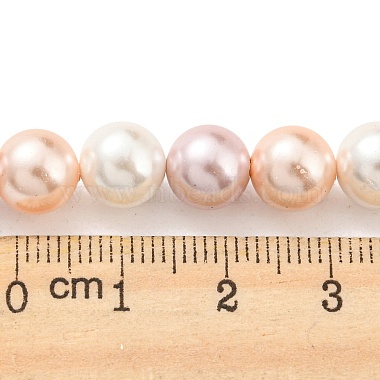 Electroplated Natural Shell Beads Strands(SHEL-F008-03B-06)-4
