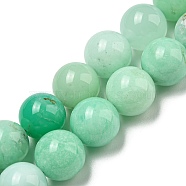 Grade AA Natural Chrysoprase Beads Strands, Round, 10mm, Hole: 1mm, about 38pcs/strand, 15.51''(39.4cm)(G-R494-A01-04)