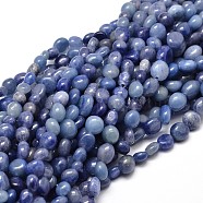 Natural Dumortierite Quartz Nuggets Beads Strands, Tumbled Stone, 5~10x6~7x3~7mm, Hole: 1mm, about 14.9 inch~15.7 inch(X-G-J335-34)