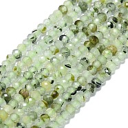 Natural Prehnite Beads Strands, Faceted, Rondelle, 2~2.5x2mm, Hole: 0.5mm, about 223~226pcs/strand, 14.96~15.16 inch(38~38.5cm)(G-G106-A28-01)