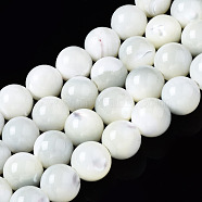 Natural Trochid Shell/Trochus Shell Beads Strands, Round, Bleach, Seashell Color, 8mm, Hole: 1.2mm, about 50~52pcs/strand, 15.35~15.75 inch(39~40cm)(SSHEL-S266-023A-03)
