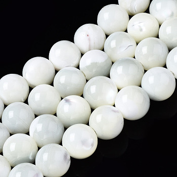 Natural Trochid Shell/Trochus Shell Beads Strands, Round, Bleach, Seashell Color, 8mm, Hole: 1.2mm, about 50~52pcs/strand, 15.35~15.75 inch(39~40cm)