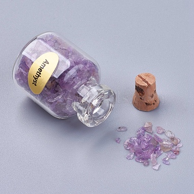 Bottles of Natural Gemstone Chip Beads(G-S049-2-B)-2