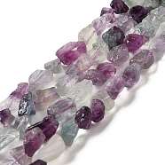 Raw Rough Natural Fluorite Beads Strands, Nuggets, 4.5~12x4.5~8x4~8mm, Hole: 0.9mm, about 63~66pcs/strand, 15.47''~16.34''(39.3~41.5cm)(G-I283-G02-01)