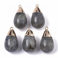 Top Golden Plated Natural Labradorite Pendants, with Iron Loop, Teardrop, 28~29.5x16mm, Hole: 1.6mm(G-T131-02C)