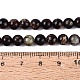Natural Biotite Beads Strands(G-Q616-01B)-5