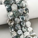 Natural Tree Agate Beads Strands, Nuggets, Faceted, with Seed Beads, 11.5~12.5x9~13x9~12mm, Hole: 1mm, about 28pcs/strand, 14.96''(38cm)(GG-CBAF8A8-A04-01)